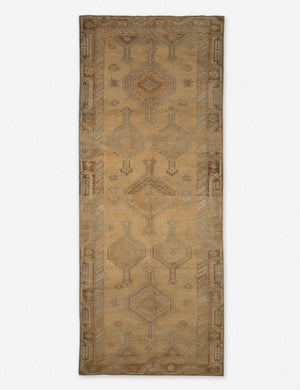 Ulviye Vintage Runner Rug, 4'10