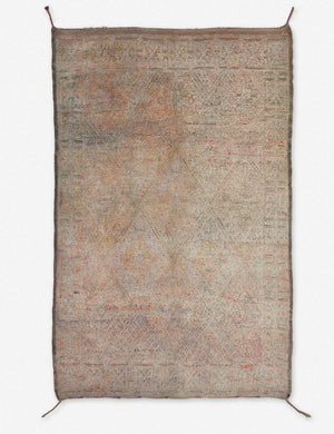 Iriga Vintage Rug, 6'7