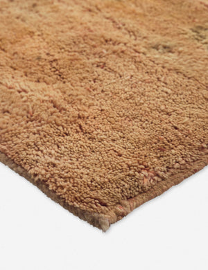 Kaspi Vintage Rug, 7'3