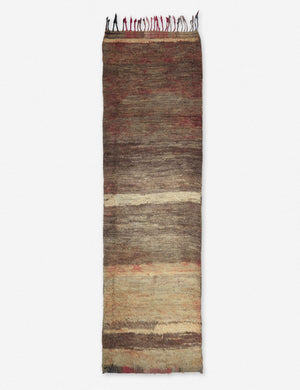Kareli Vintage Runner Rug, 3'11