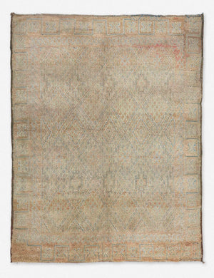 Bastia Vintage Rug, 6'9