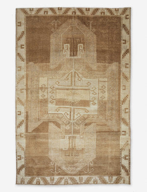 Ediz Vintage Rug, 5'7