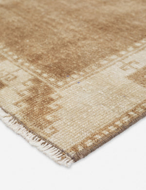 Ediz Vintage Rug, 5'7