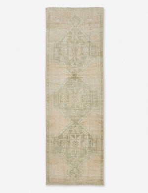 Salime Vintage Runner Rug, 3'3