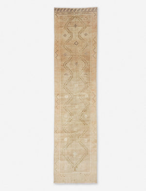 Femi Vintage Runner Rug, 2'11