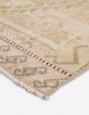 Femi Vintage Runner Rug, 2'11