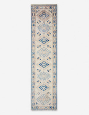 Cetin Vintage Runner Rug, 2'5