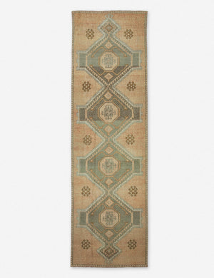 Iffet Vintage Runner Rug, 3'5