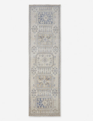 Adan Vintage Runner Rug, 3'3