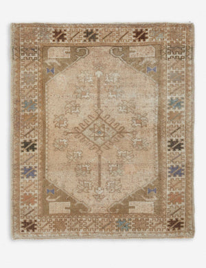 Dreyah Vintage Rug, 2'11