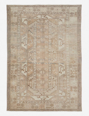 Fahreta Vintage Rug, 6'7