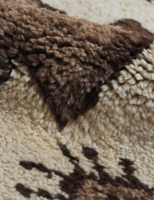 Areka Vintage Runner Rug, 4'1