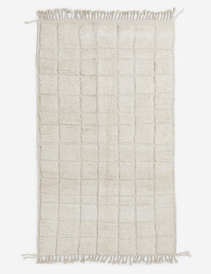 Reyhan One-of-a-Kind Rug, 4'6