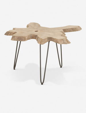 Arleta Indoor / Outdoor Nesting Tables