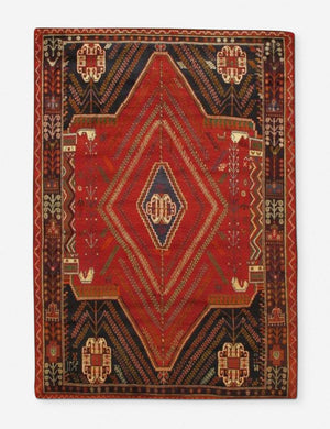 Asya One-of-a-Kind Rug 6'7