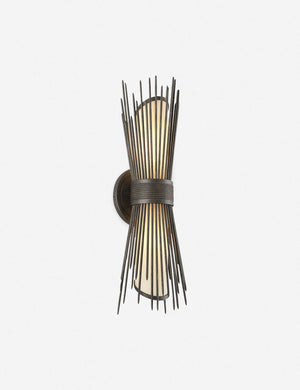 Narissa Indoor / Outdoor Sconce