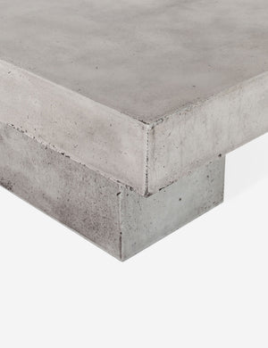 Arely Indoor / Outdoor Coffee Table