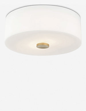 Cher frosted glass mount light with golden accents