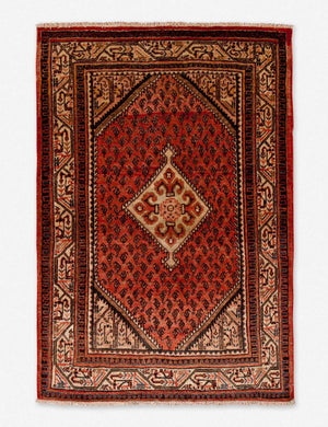 Darielle Vintage Rug, 3'6