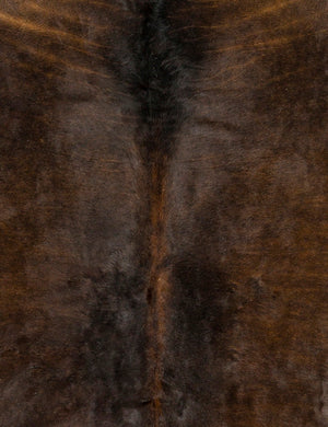 Quinlan One-Of-A-Kind Hide Rug