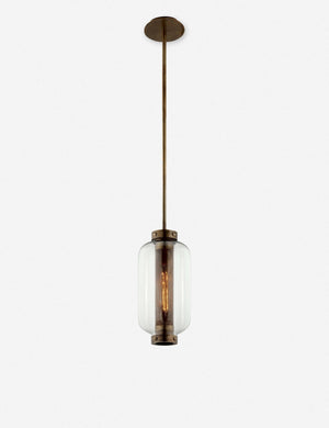 Romelia Indoor / Outdoor Pendant Light