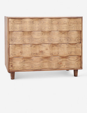 Ariel Dresser