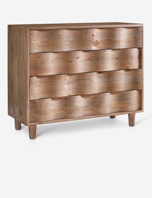 Ariel Dresser