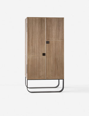 Panina Cabinet