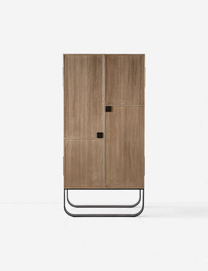 Panina Cabinet