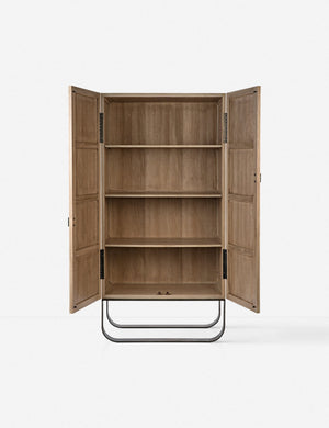 Panina Cabinet