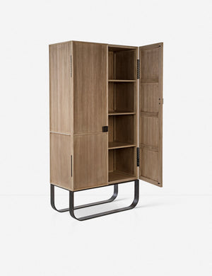 Panina Cabinet