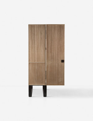 Panina Cabinet