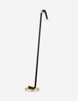 Jeffery sleek black pipe floor lamp with brass hardware