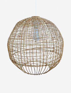 Moraeu Pendant Light