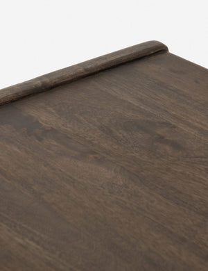 Chaya Coffee Table