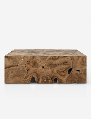 Iva Coffee Table