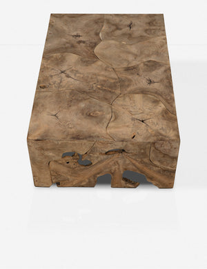 Iva Coffee Table