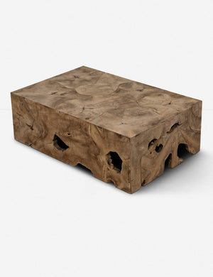 Iva Coffee Table