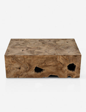 Iva Coffee Table