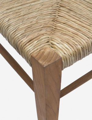 Kimika Dining Chair