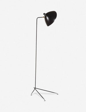 Josline Floor Lamp