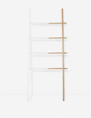 Trenton Expandable Ladder