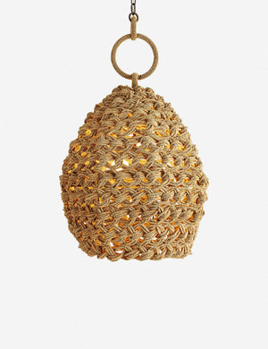 Arteriors Saxon Pendant Light