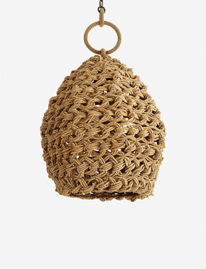 Arteriors Saxon Pendant Light