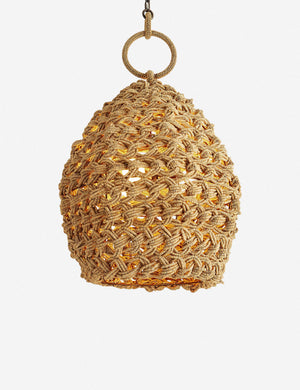 Arteriors Saxon Pendant Light