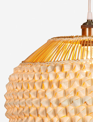 Cachae Round Pendant Light