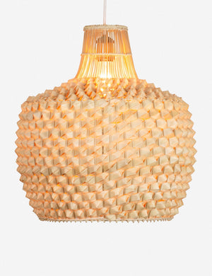 Cachae Short Pendant Light