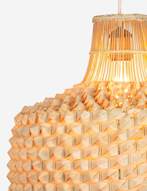Cachae Short Pendant Light