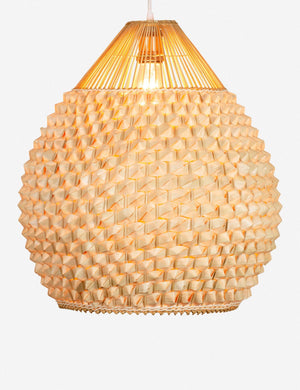 Cachae Tall Pendant Light