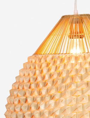 Cachae Tall Pendant Light